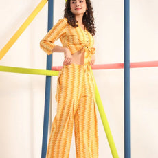 Women's Cotton Regular Fit Floral Printed Top and Plazzo Co-ord Set